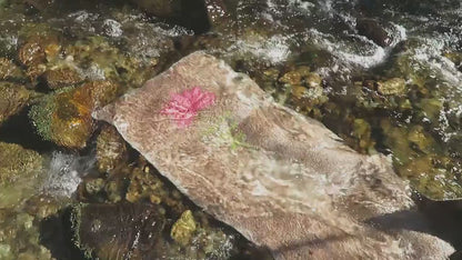 SereneMat™ - Find Your Peace, Anywhere, your ultimate meditation and yoga companion.