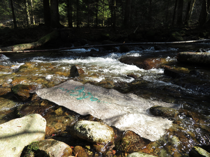 SereneMat™ - Find Your Peace, Anywhere, your ultimate meditation and yoga companion.