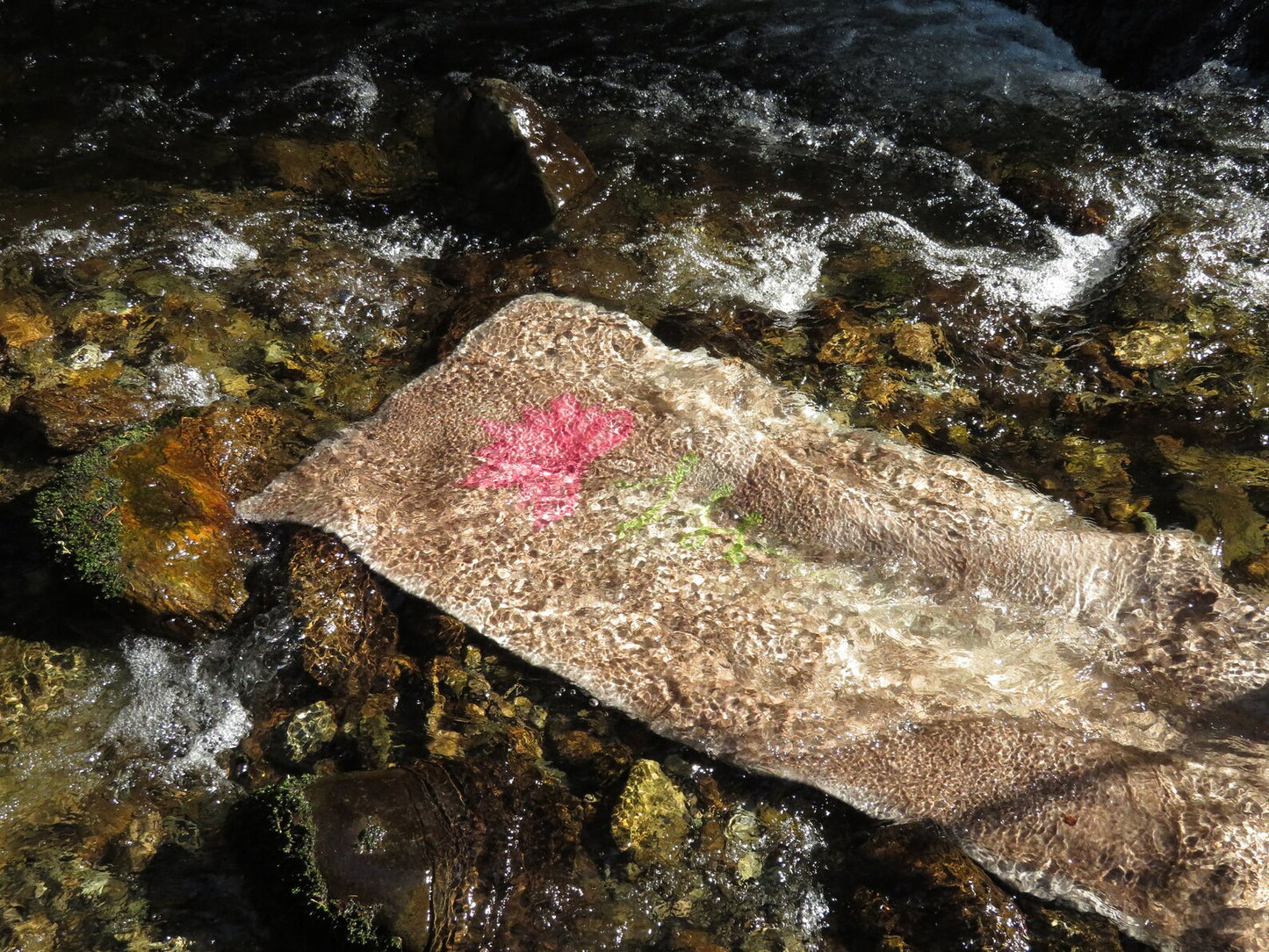 SereneMat™ - Find Your Peace, Anywhere, your ultimate meditation and yoga companion.